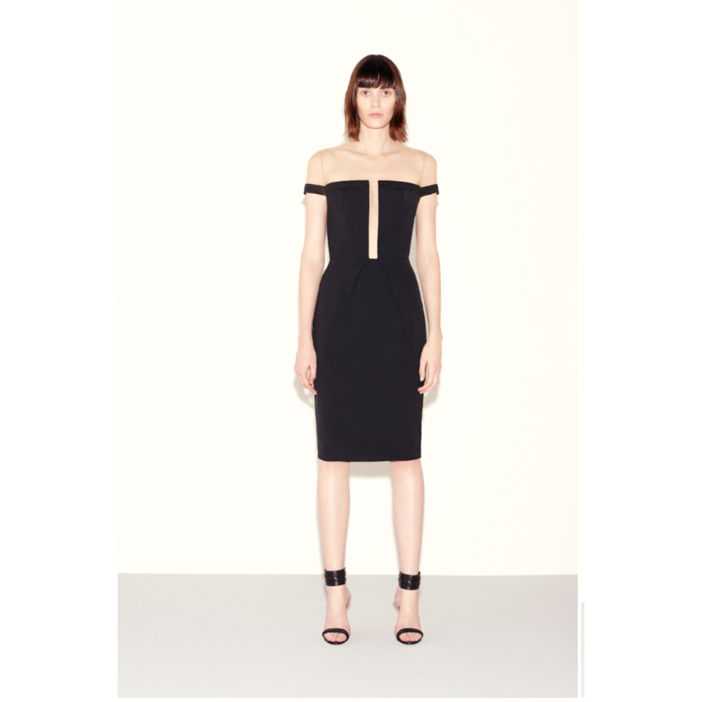 Julianna Bass Charlotte Dress Illusion Linear Neckline Back Shift Dress Size 4
